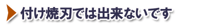 付け焼刃の謝辞ではね